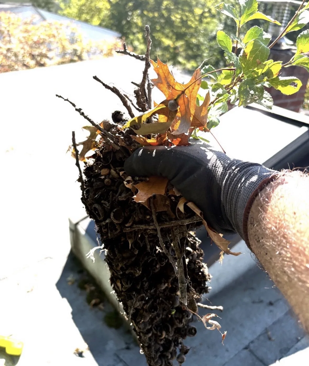 Gutter Cleaning in Cresskill: Before / after: clogged gutter run