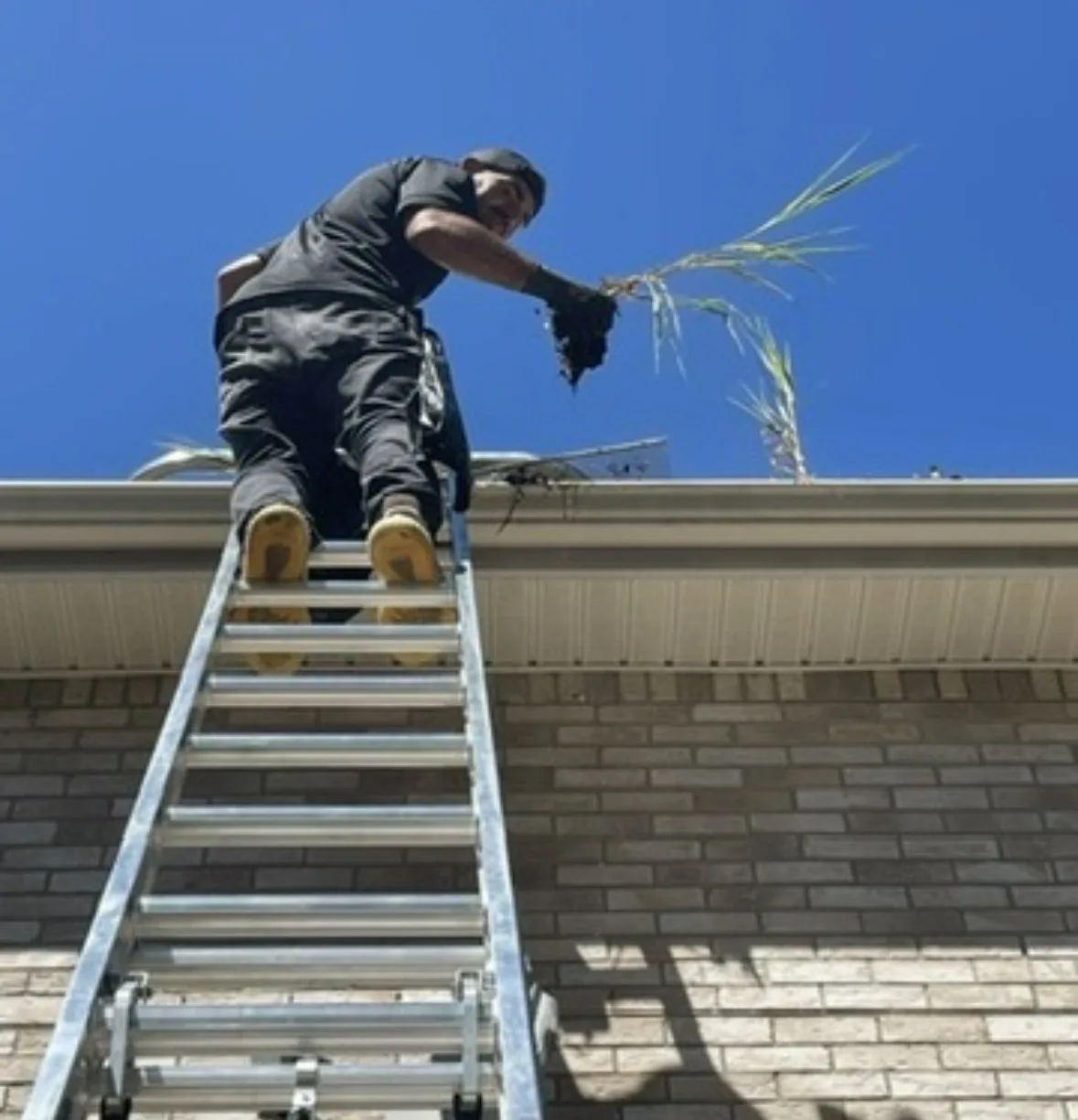 Gutter Cleaning in Cresskill: Bagged debris at curb