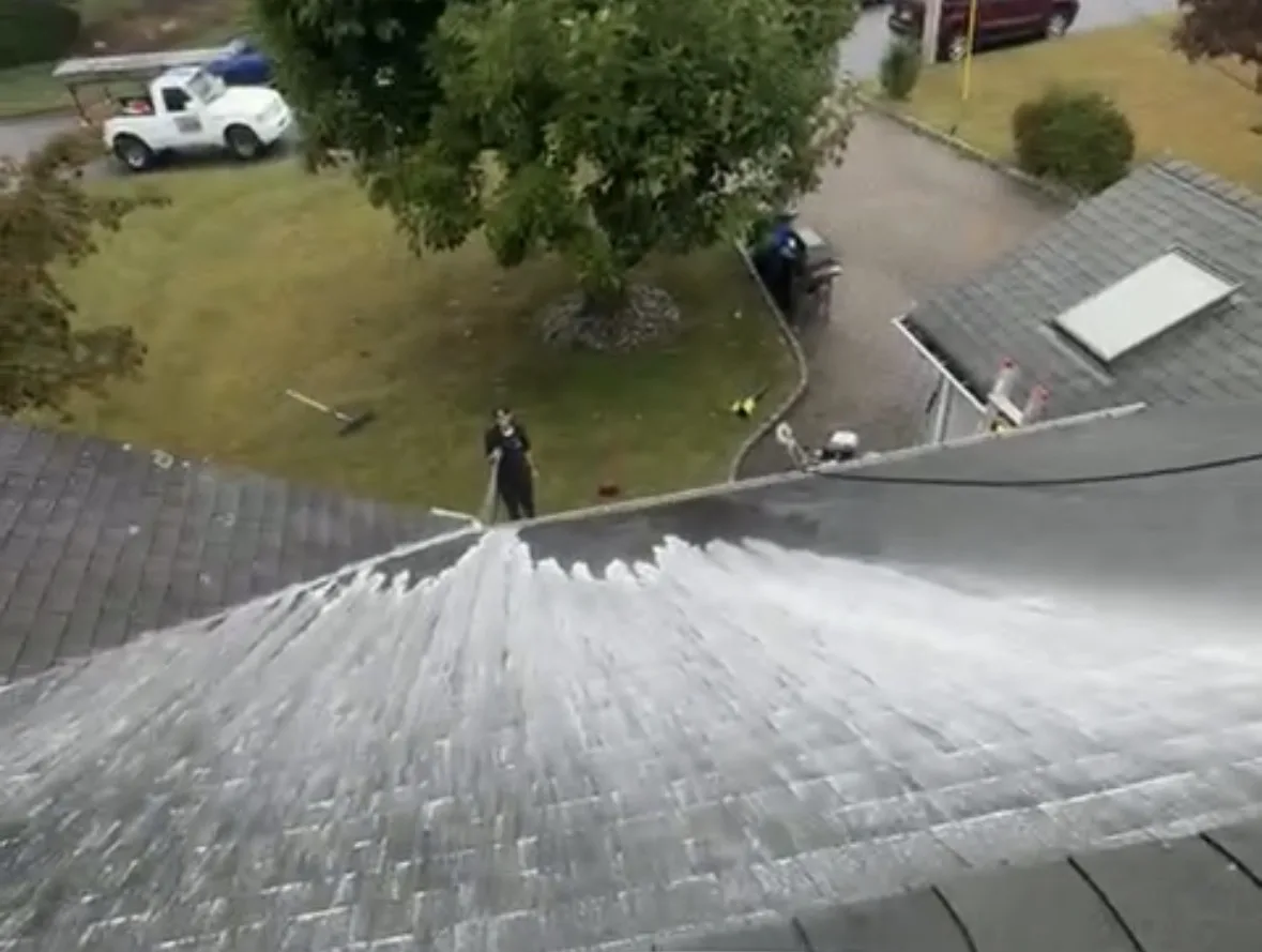 Roof Cleaning photo